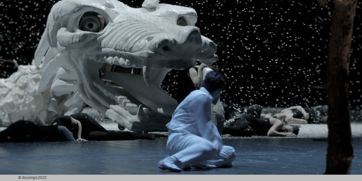 The Magic Flute, photo 3