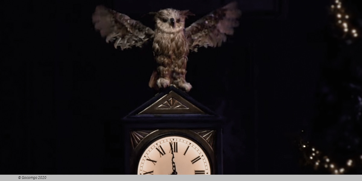 The Nutcracker (George Balanchine`s The Nutcracker ®), photo 4