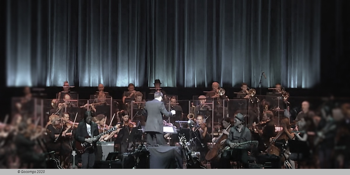 All You Need Is Love, photo 1