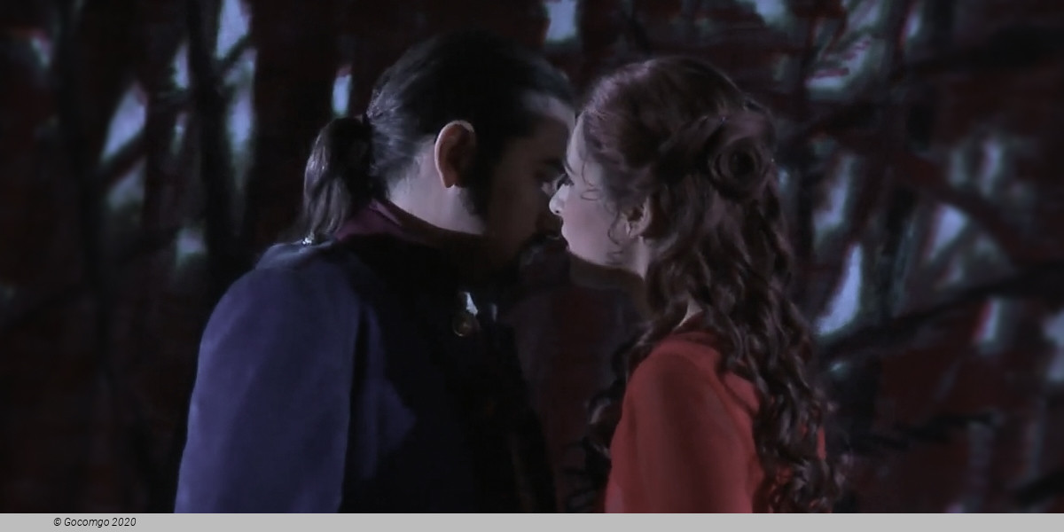 Eugene Onegin, photo 2