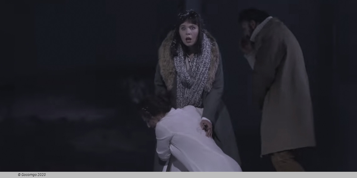 Violetter Schnee, photo 3