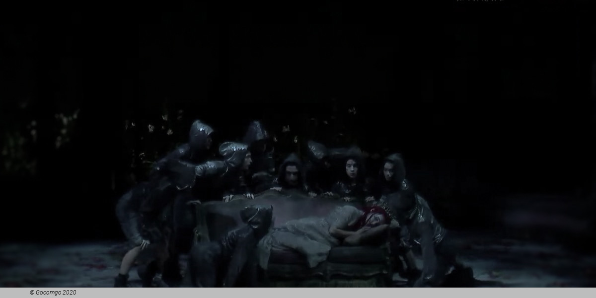 A Midsummer Night`s Dream, photo 1