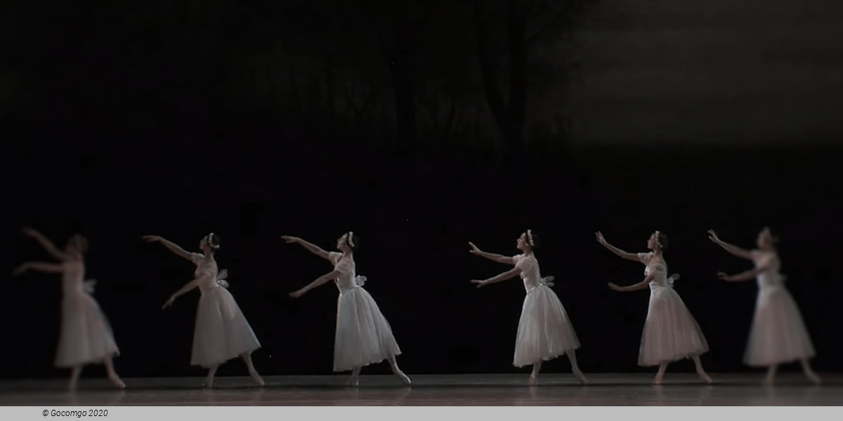 Chopiniana, photo 11