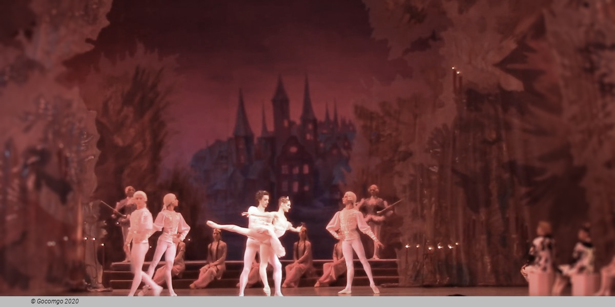 The Nutcracker, photo 2