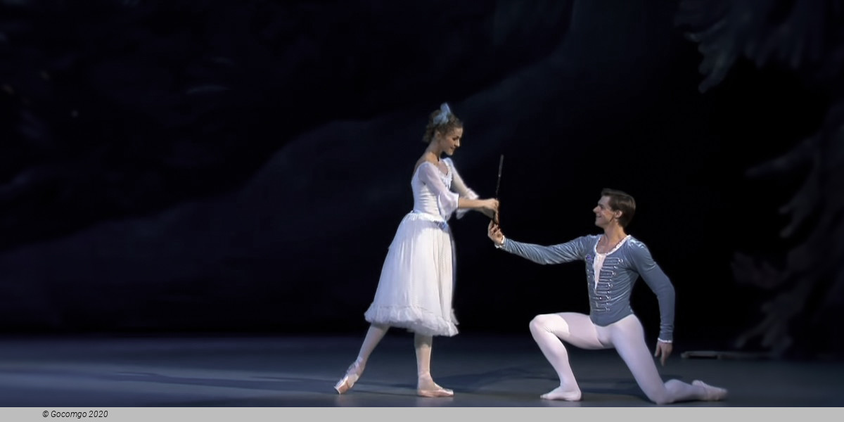 The Nutcracker, photo 4