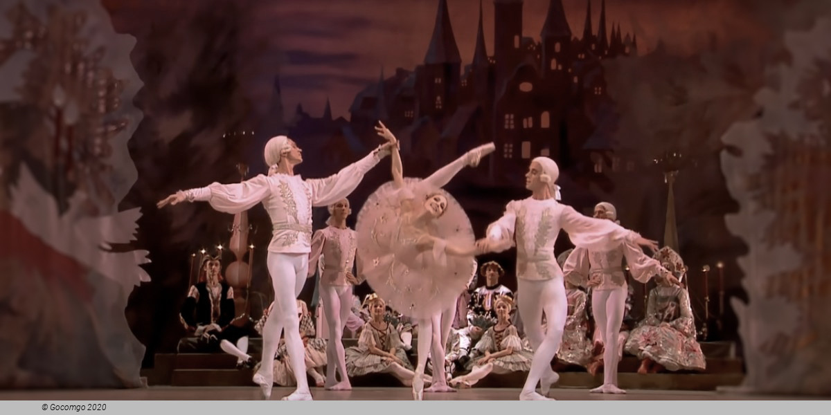 The Nutcracker, photo 5