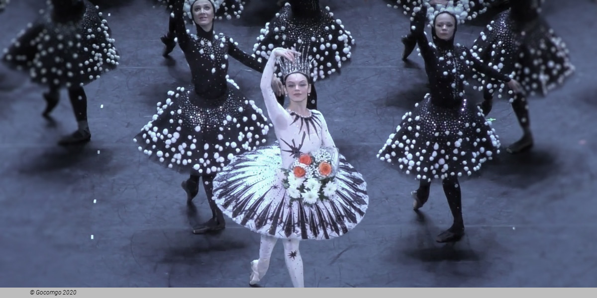 The Nutcracker, photo 3