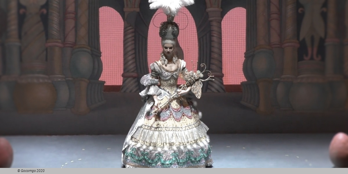 The Nutcracker, photo 5