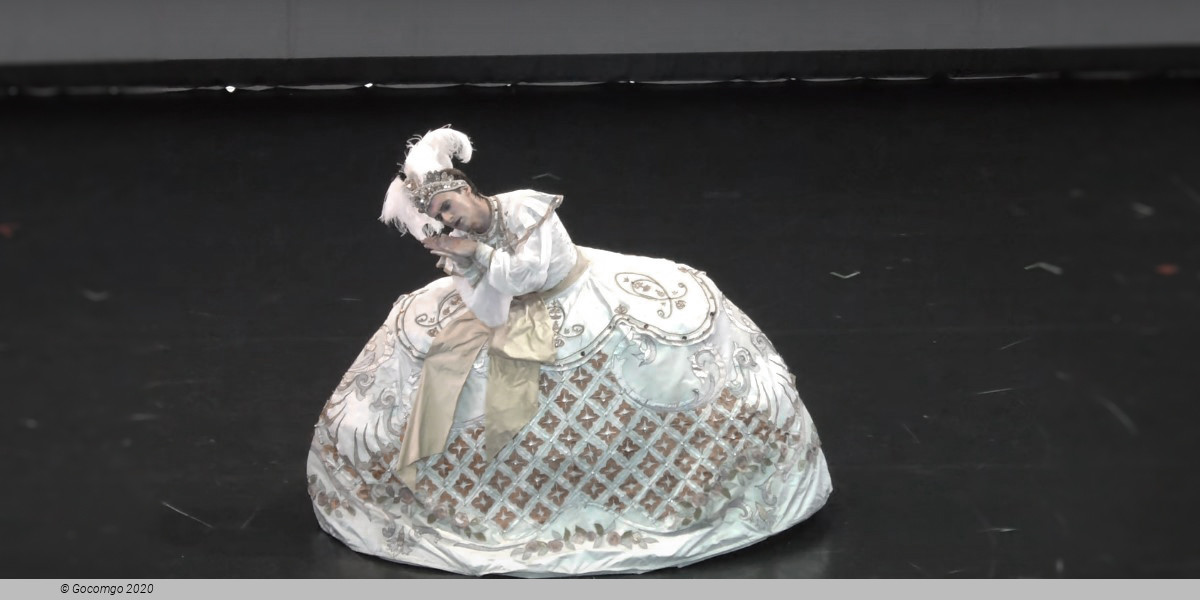 Le Divertissement du roi, photo 4