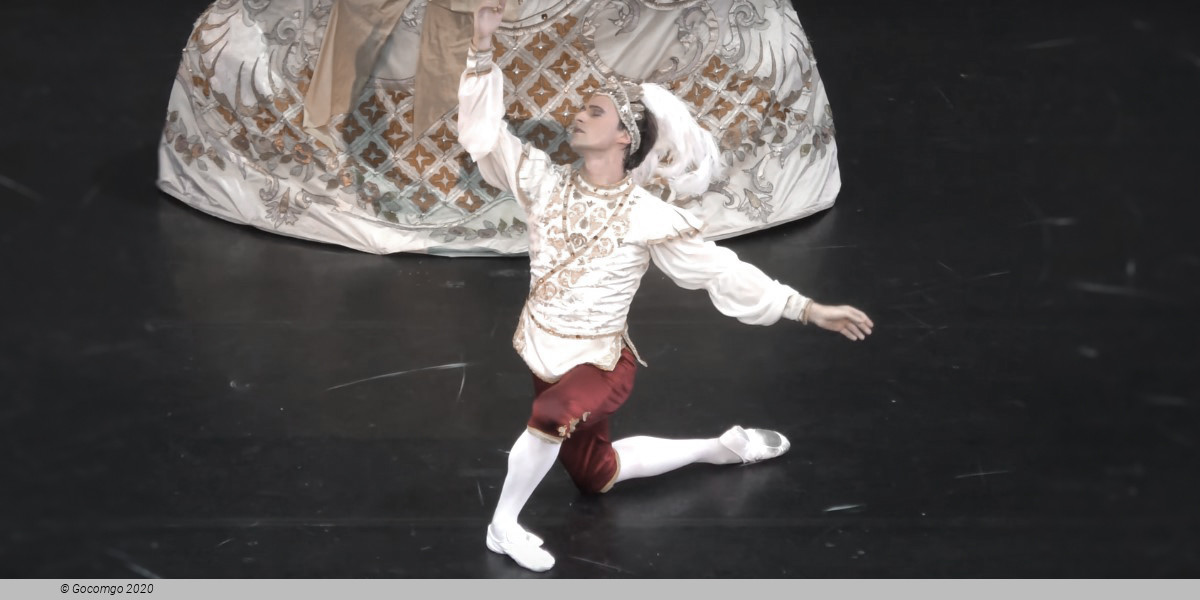 Le Divertissement du roi, photo 5