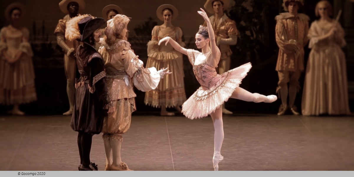 The Sleeping Beauty, photo 6