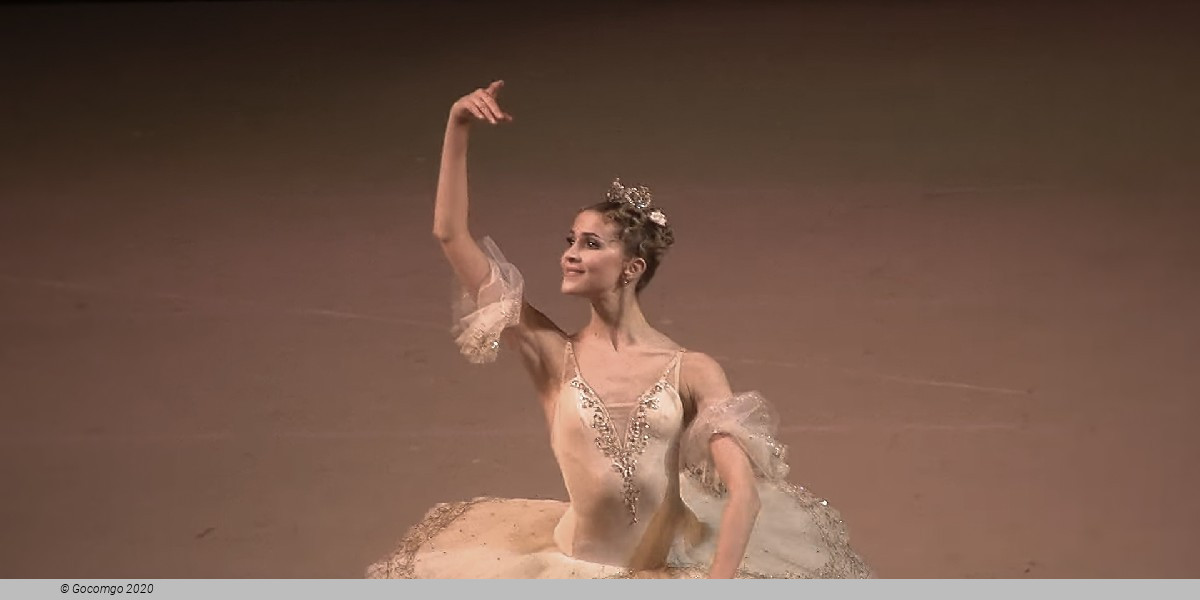 The Sleeping Beauty, photo 4