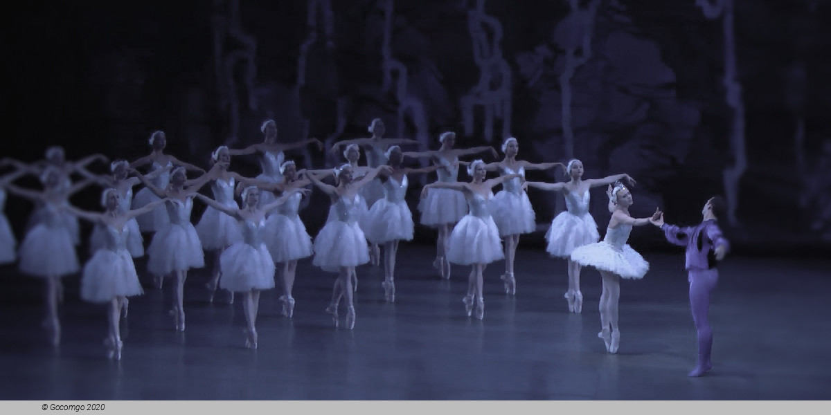 Scene 5 from the ballet "Swan Lake", photo 17