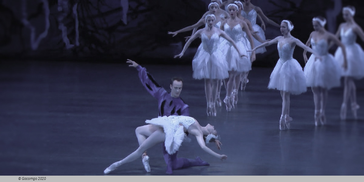 Scene 6 from the ballet "Swan Lake", photo 18