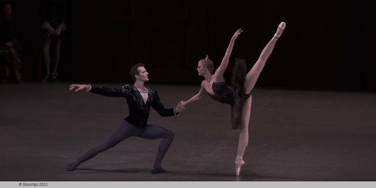 Scene 7 from the ballet "Swan Lake", photo 19