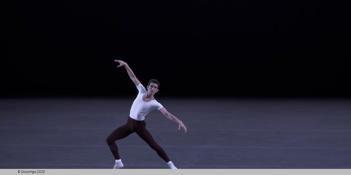 The Four Temperaments