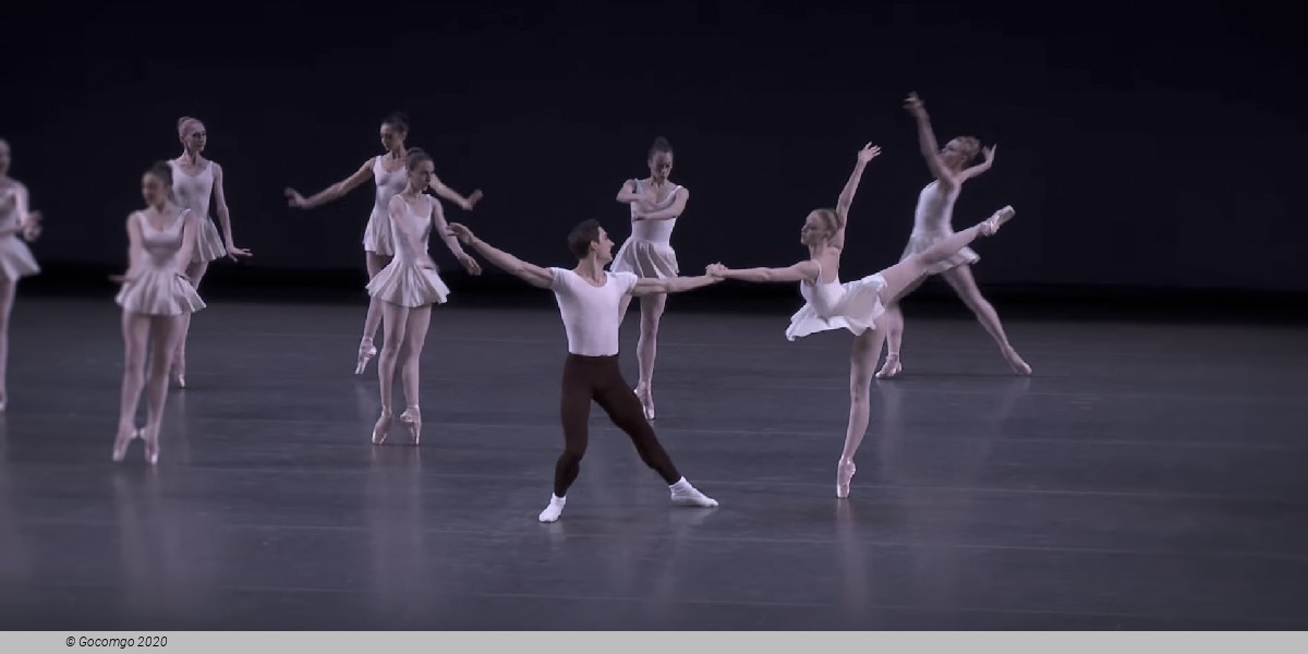 Concerto Barocco, photo 4