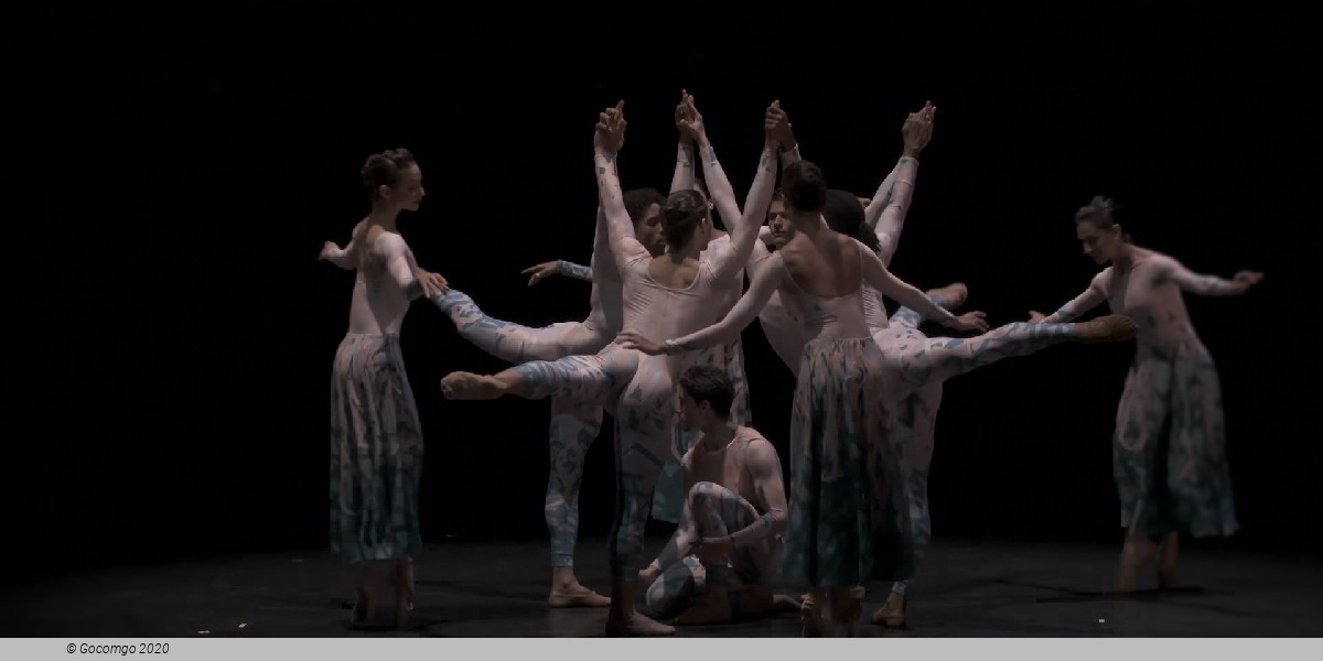 Acosta Danza Up Close