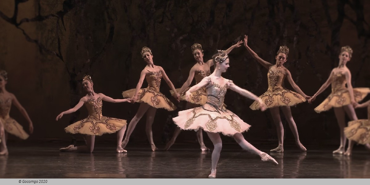 Rudolf Nureyev's The Sleeping Beauty, photo 3