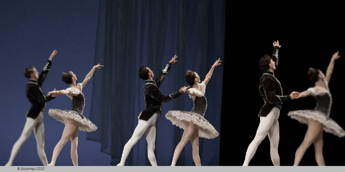 A Night of Dance x12, photo 1