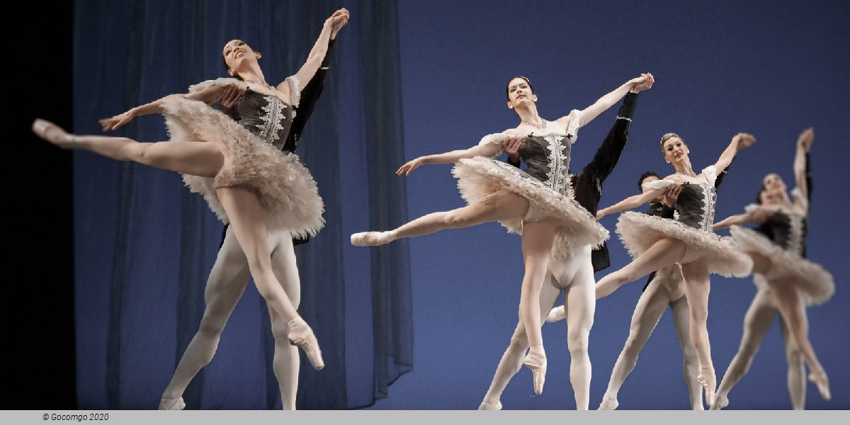 A Night of Dance x12, photo 2