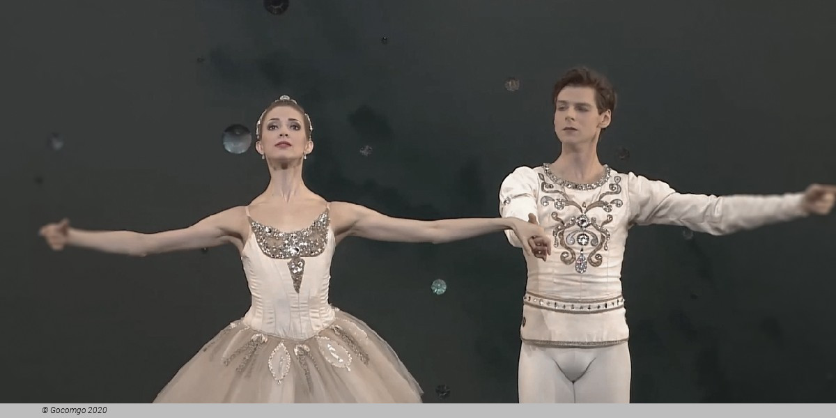 An Evening with Vladimir Shklyarov, photo 4