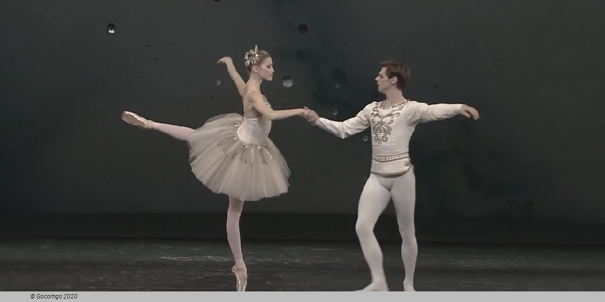 An Evening with Vladimir Shklyarov, photo 5