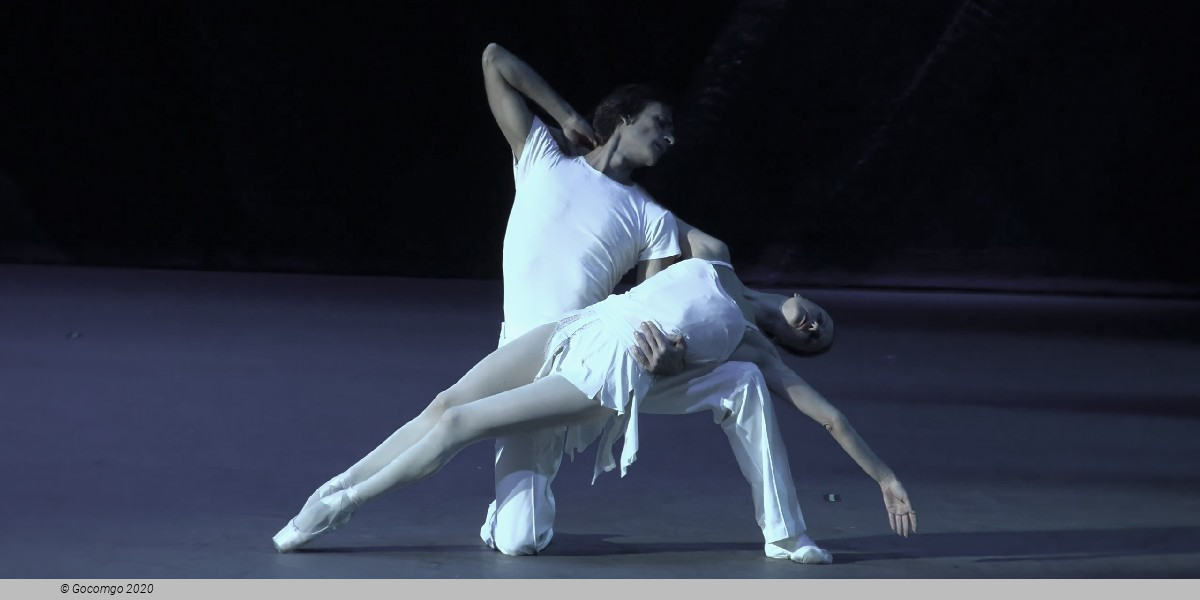 Concerto DSCH, photo 3