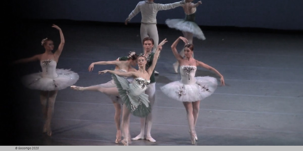 Symphony in C, photo 12