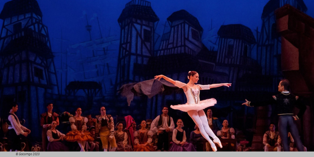 Don Quixote, photo 1