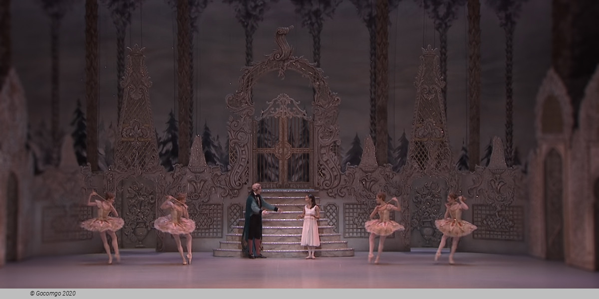 The Nutcracker