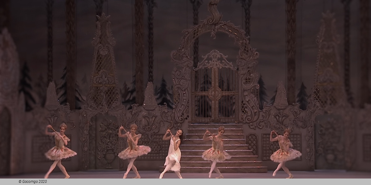 The Nutcracker, photo 6