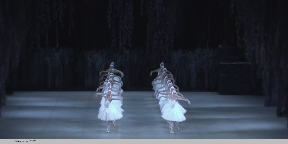 Swan Lake, photo 5
