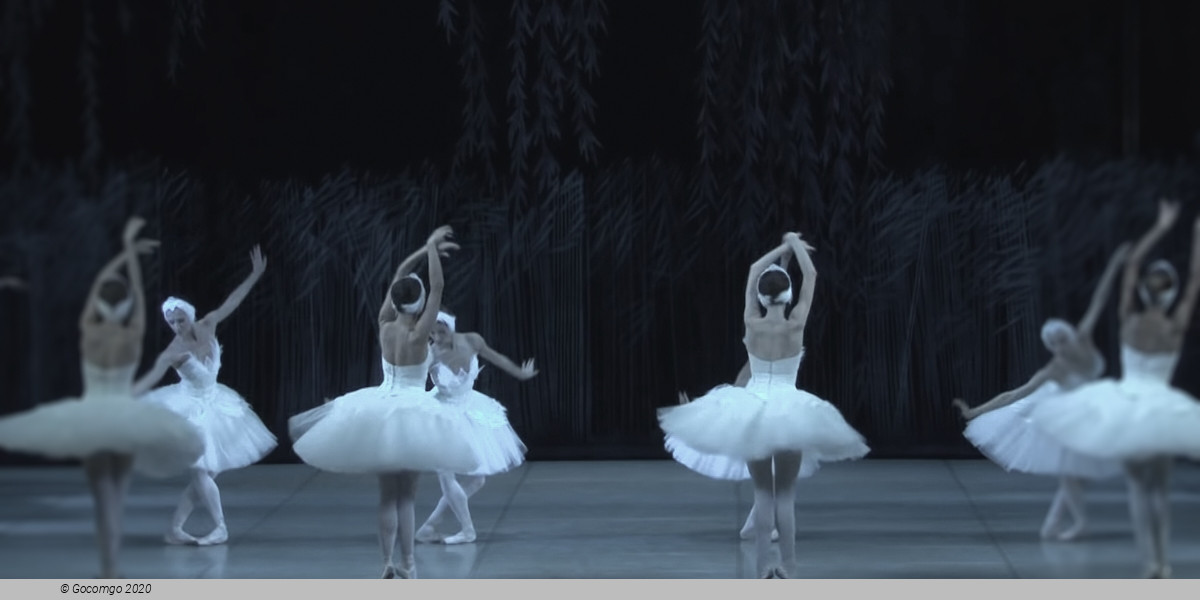 Swan Lake, photo 6