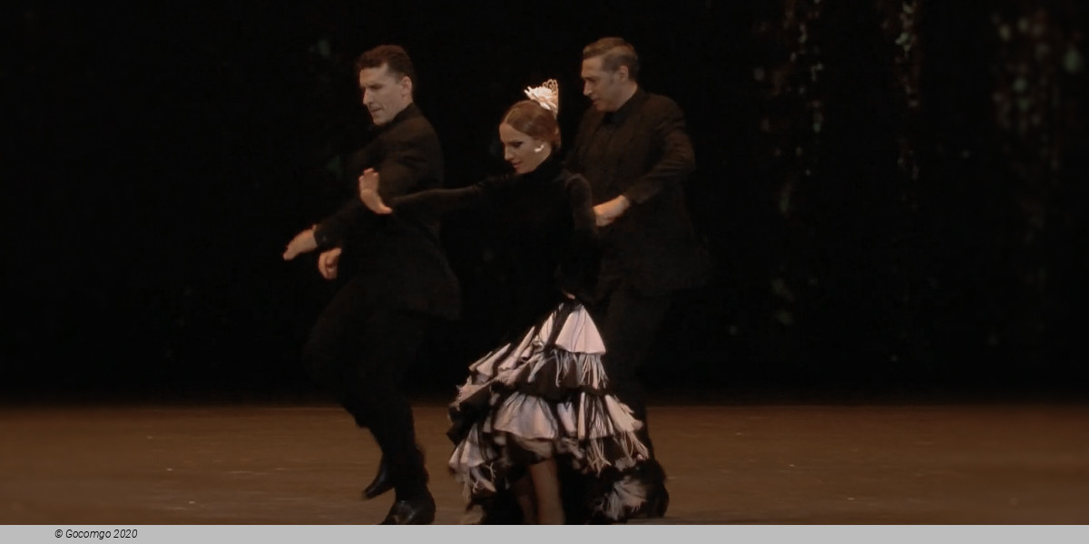 Ballet Gala, photo 1