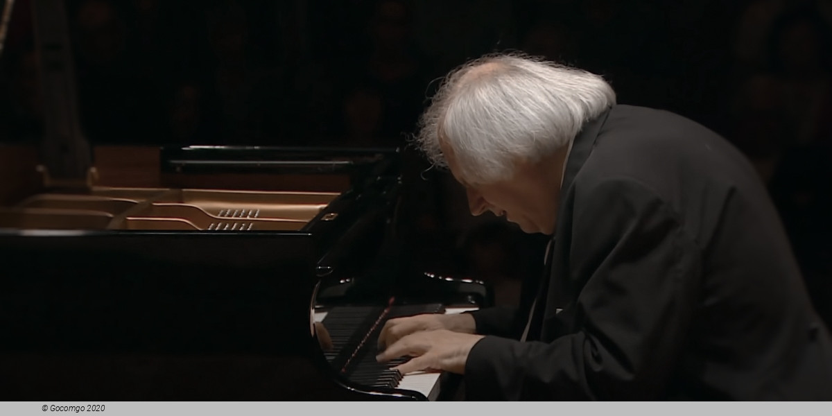 Master pianist Grigory Sokolov, photo 1