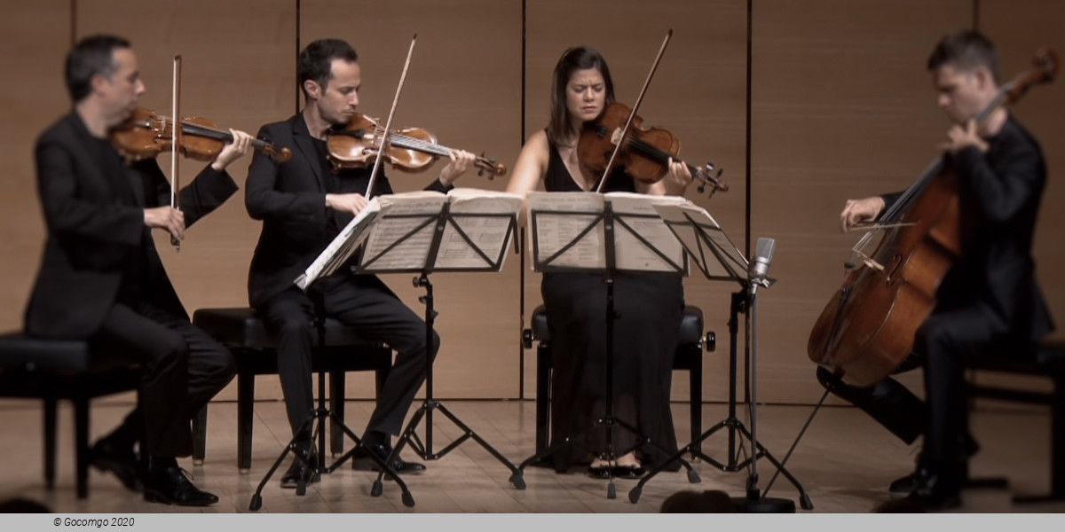 Beethoven 2020: Quatuor Ébène, photo 1