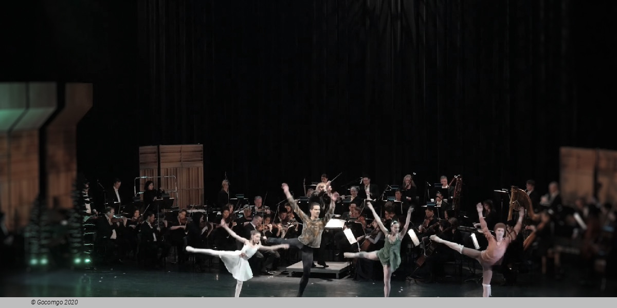 Miniatury Baletní přípravky ND/Petr Pan - Bohemia Balet, photo 1