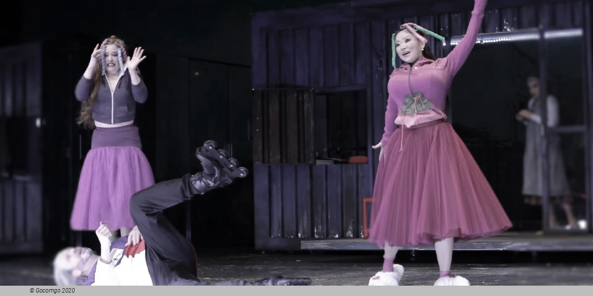 La Cenerentola, photo 3