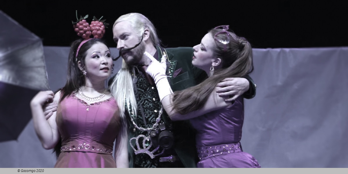 La Cenerentola, photo 6