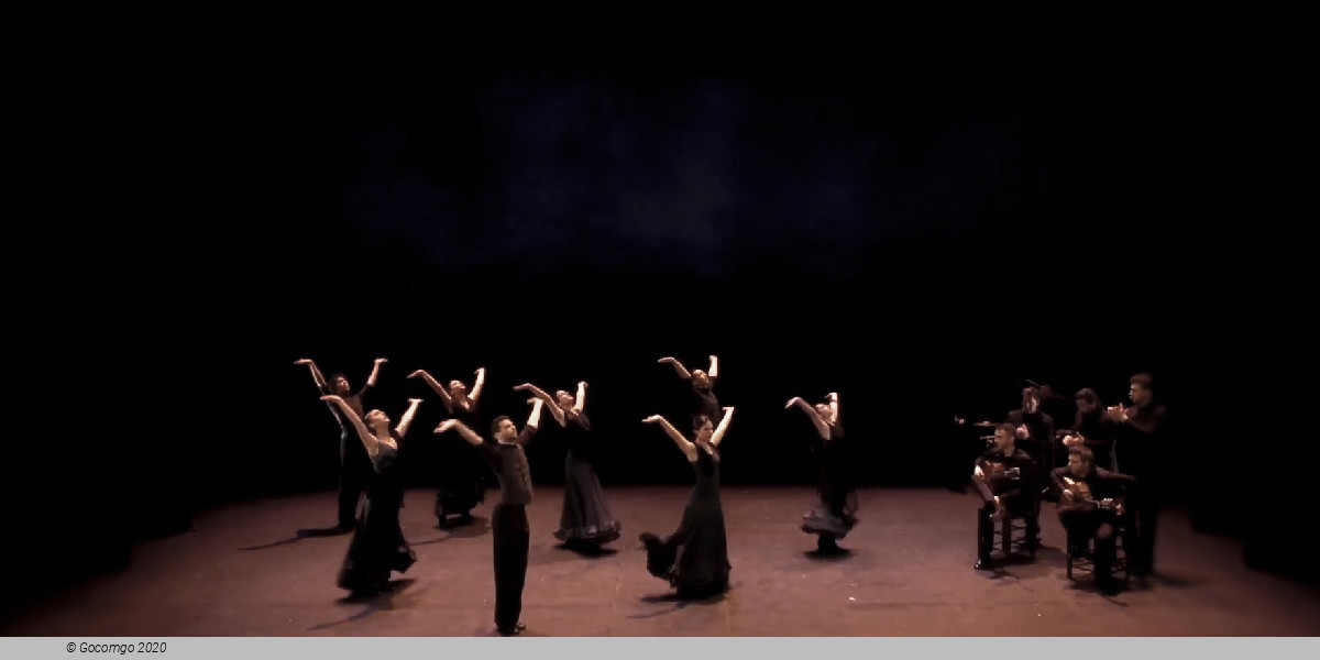 Naturally flamenco, photo 1