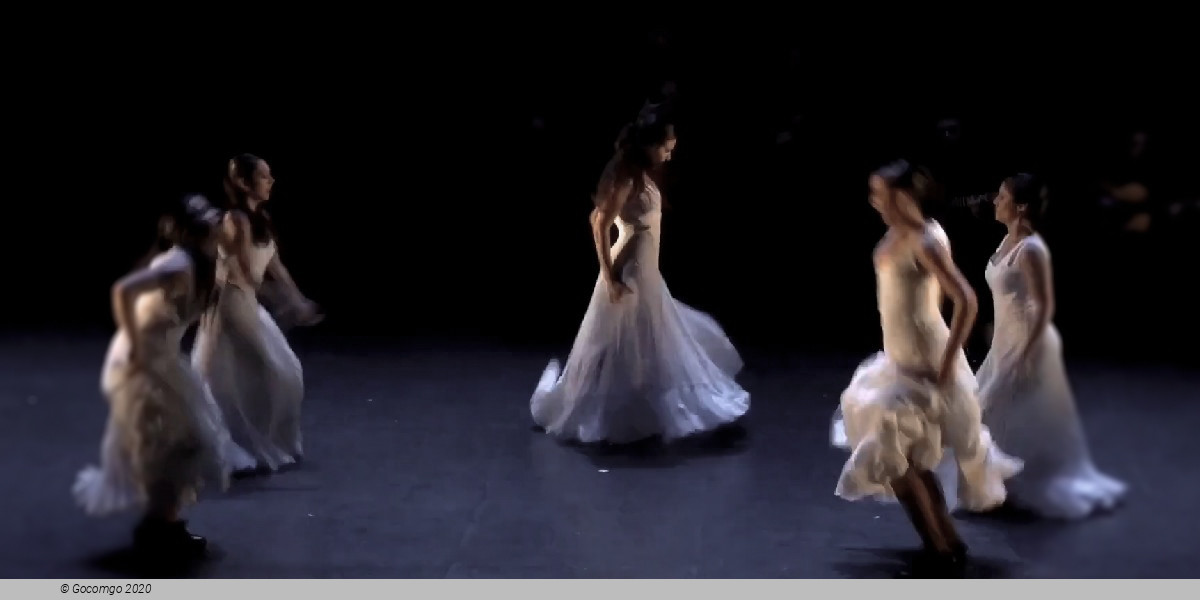 Naturally flamenco, photo 2