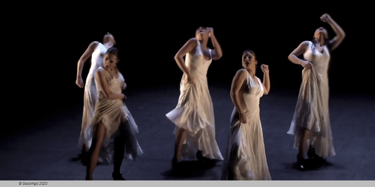 Naturally flamenco, photo 3