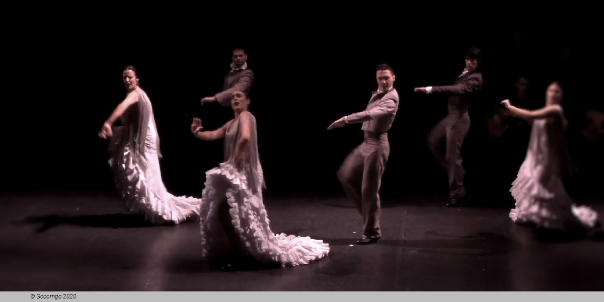 Naturally flamenco, photo 4