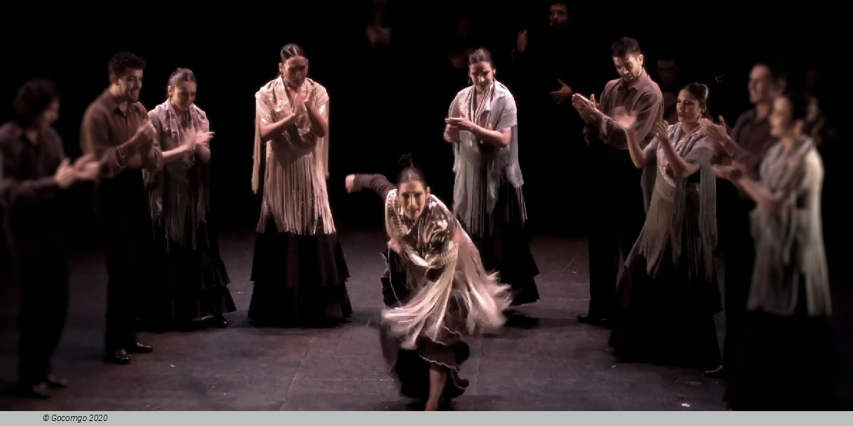 Naturally flamenco, photo 5