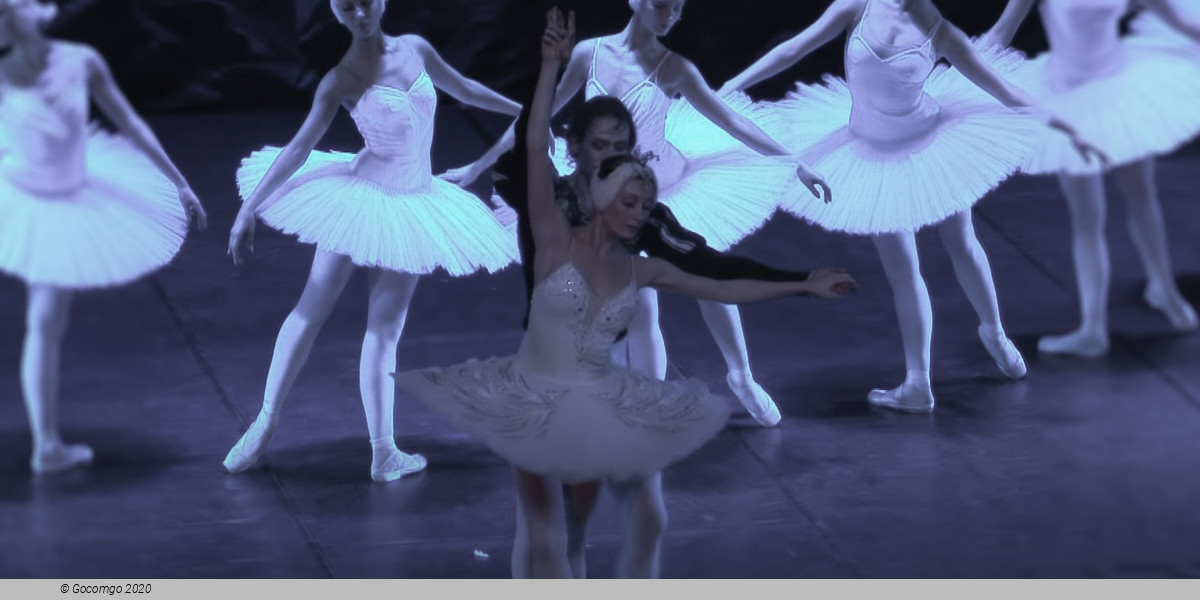 Swan Lake, photo 7