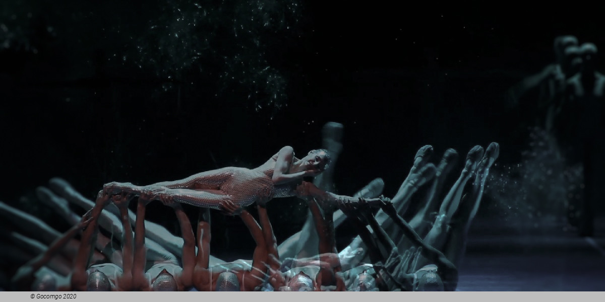 A Midsummer Night's Dream, photo 2