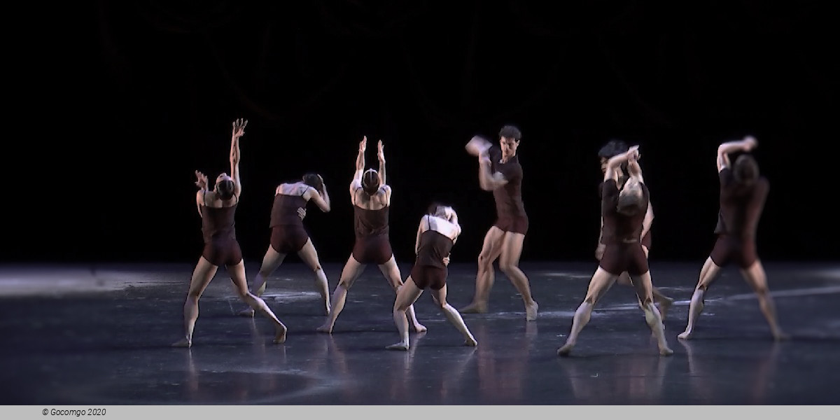 Hollands Meister, photo 1