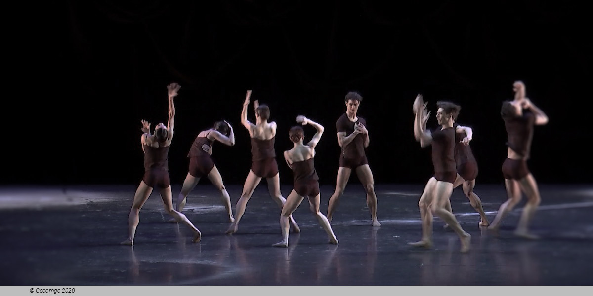 Evening of modern ballets: Promethean Fire, Lontano, Ramifications, Beaux, photo 1