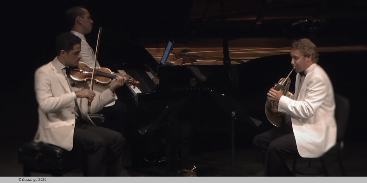 Van der Zwart, Faust and Melnikov: Brahms' Horn Trio, photo 1